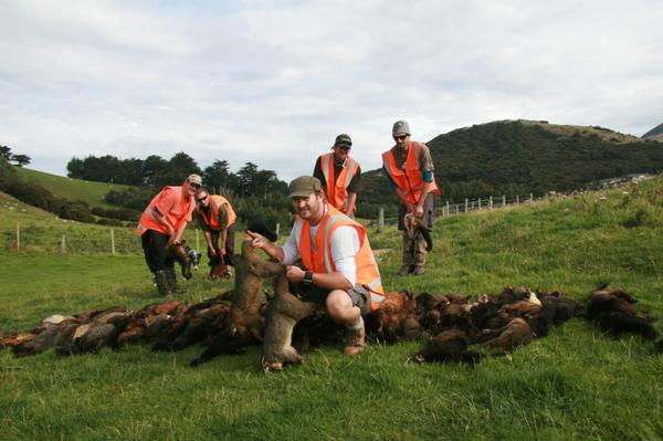 Past work achieved with the Otago Peninsula Biodiversity Trust.